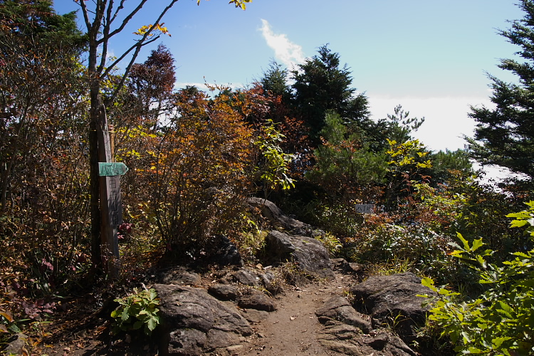 IMGP6739.jpg - 曲岳山頂