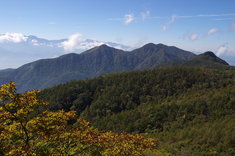 IMGP6769.jpg - ベニテングタケ
