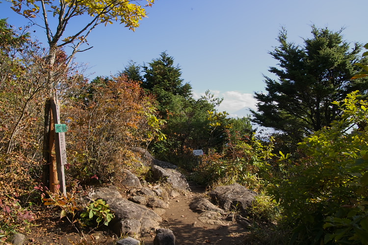 IMGP6818.jpg - 曲岳山頂