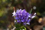 IMGP6794