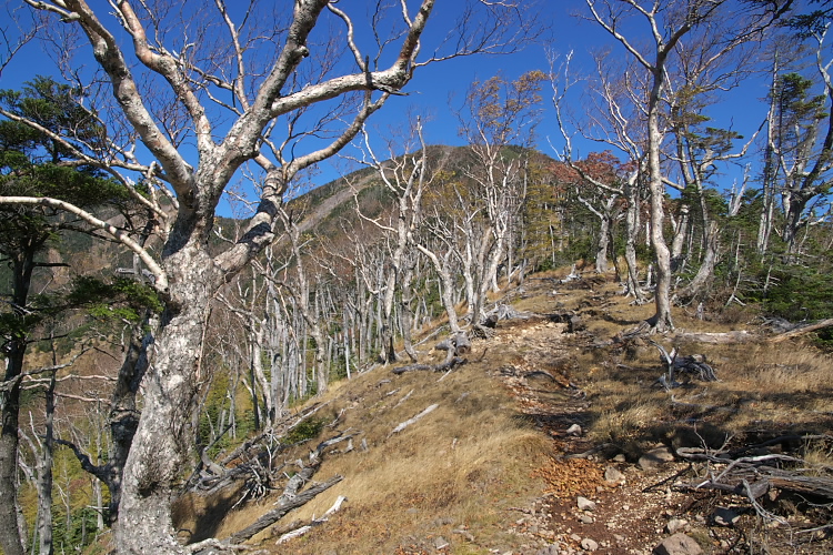 IMGP6990.jpg