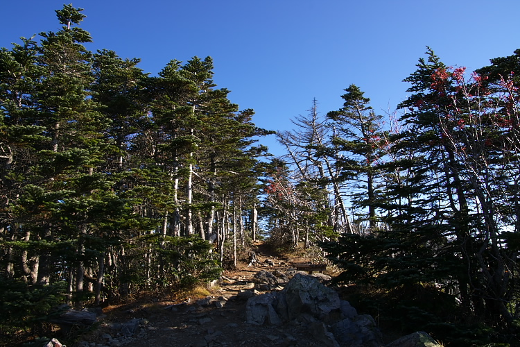 IMGP7084.jpg