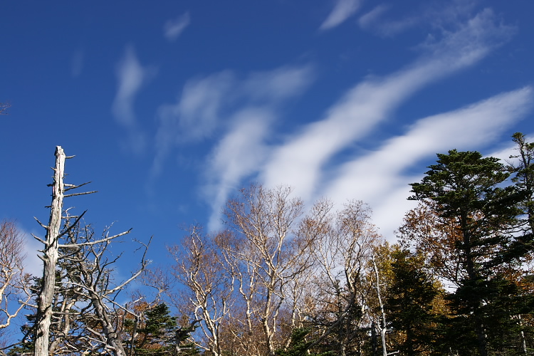 IMGP7168.jpg
