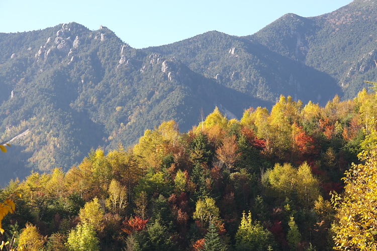 IMGP7249.jpg - 川上牧丘林道にて