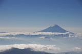 IMGP7142