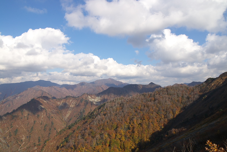 IMGP7489.jpg