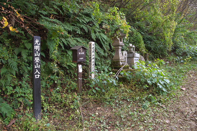 IMGP7513.jpg