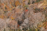 IMGP7465