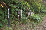 IMGP7513