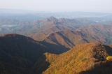 IMGP7551