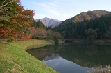 IMGP7752