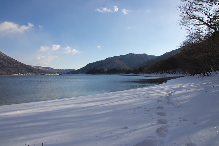 IMGP7933.jpg
