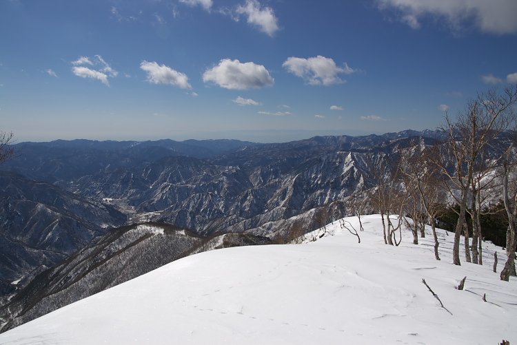IMGP7972.jpg