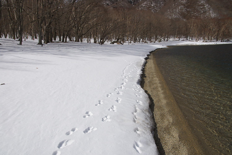 IMGP8013.jpg