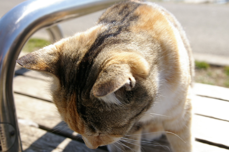 IMGP8027.jpg