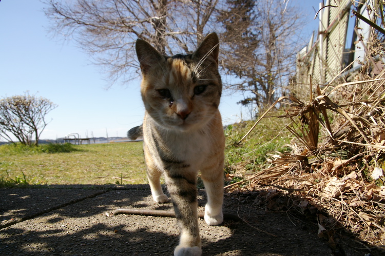 IMGP8042.jpg