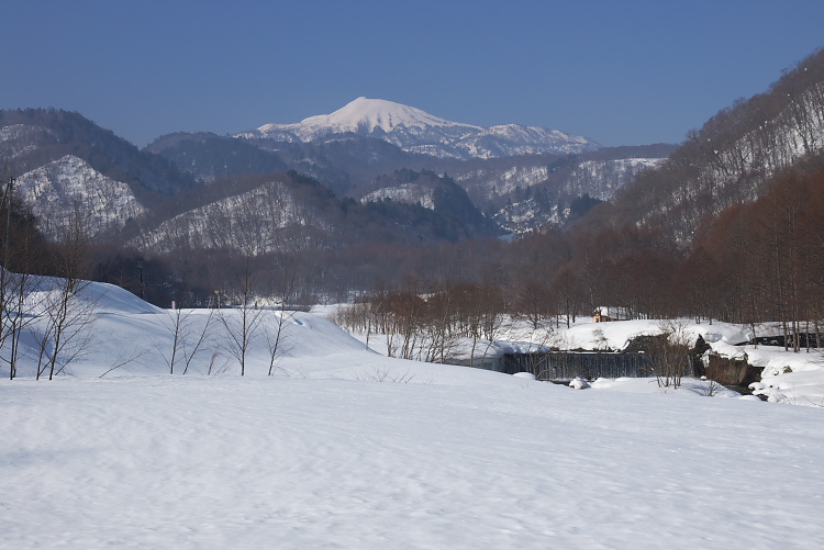 IMGP8066.jpg