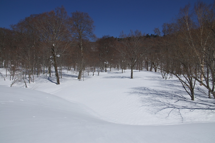 IMGP8085.jpg