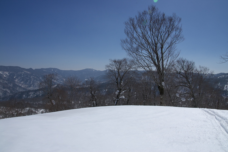 IMGP8090.jpg