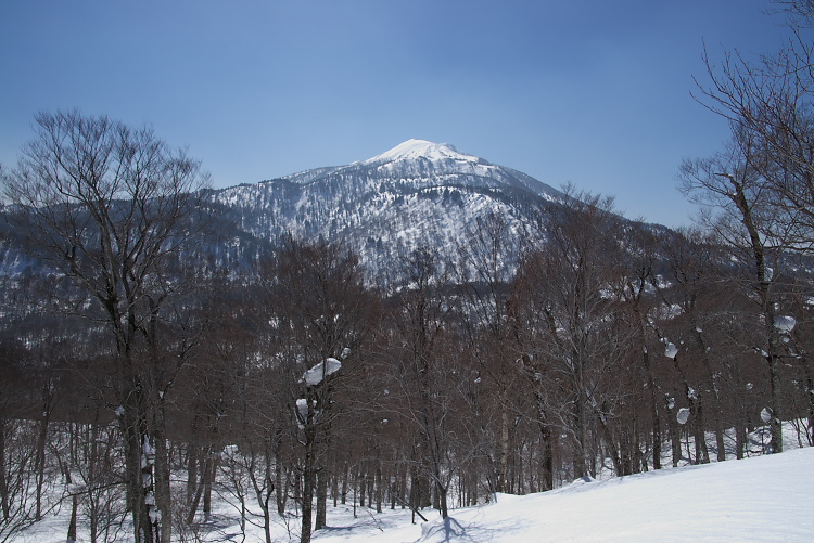 IMGP8099.jpg