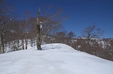 IMGP8089