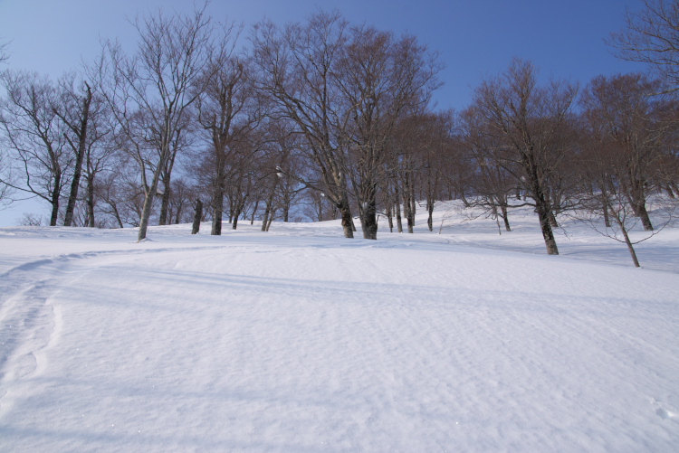 IMGP8109.jpg