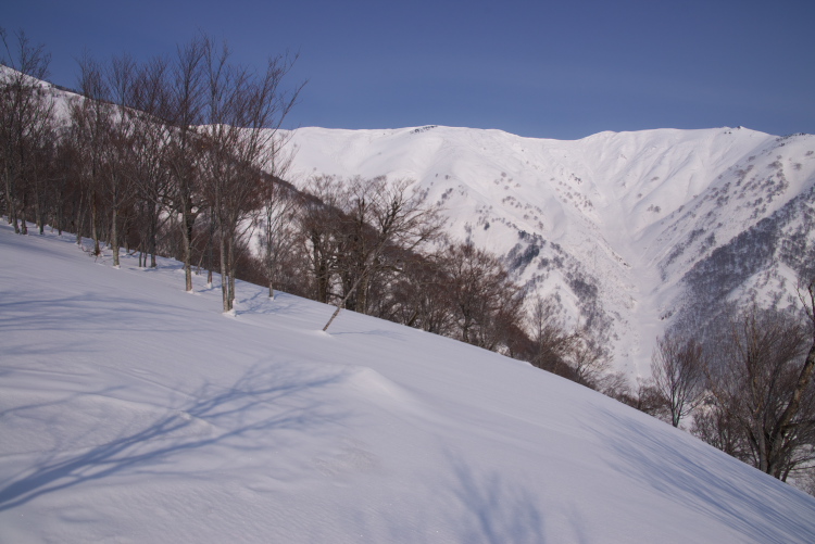 IMGP8114.jpg - １３８６ｍ付近から三岩岳
