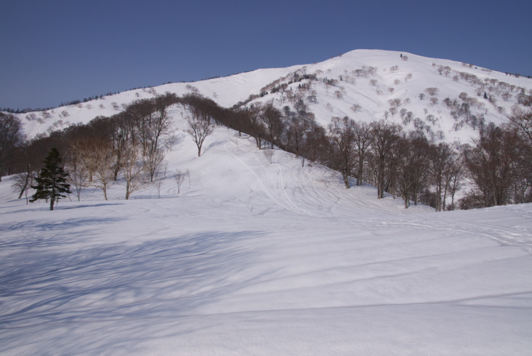 IMGP8119.jpg - １５５３ｍ付近から大戸沢岳