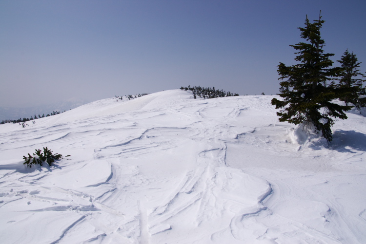 IMGP8130.jpg - 大戸沢岳、山頂