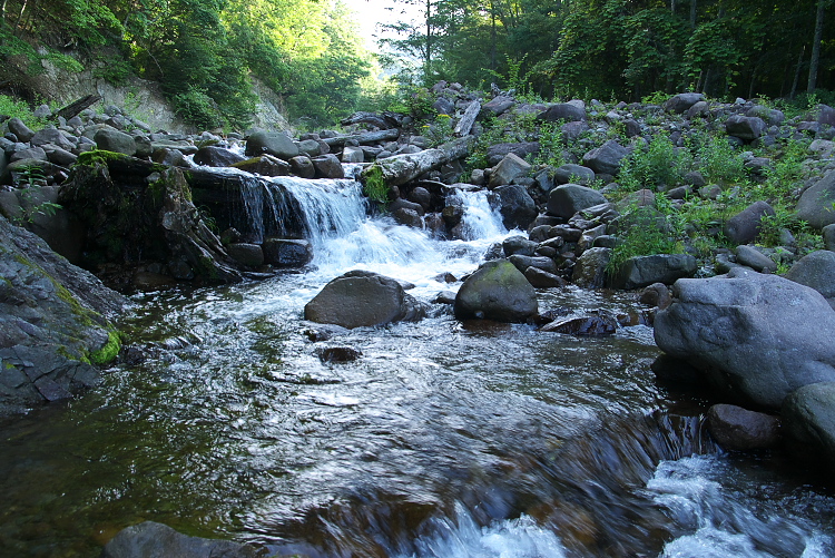 IMGP8799.jpg