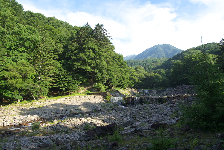 IMGP8809.jpg