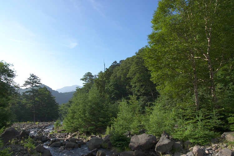 IMGP8815.jpg