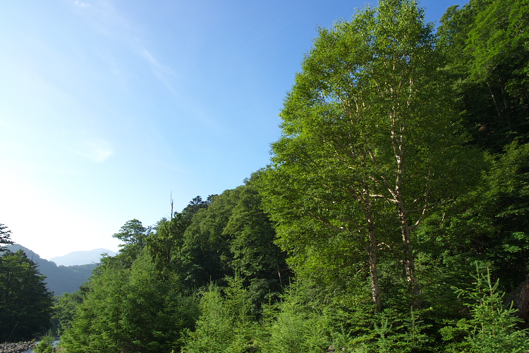 IMGP8816.jpg