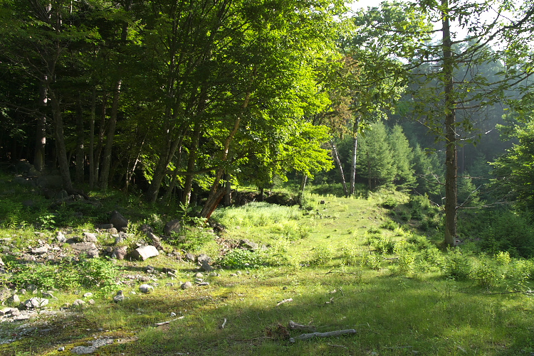 IMGP8821.jpg