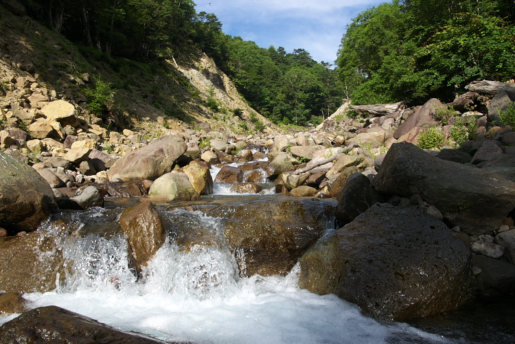 IMGP8828.jpg
