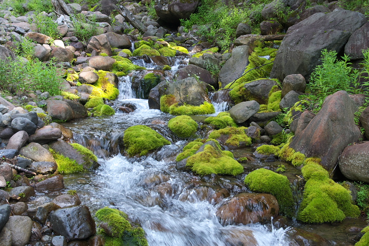 IMGP8846.jpg - 大量の湧き水。この先は、沢の水量が半分以下に減ってしまう。