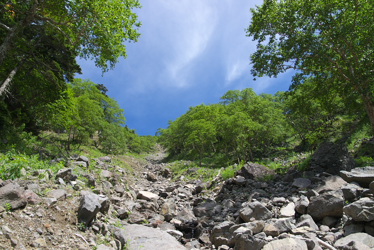IMGP8854.jpg