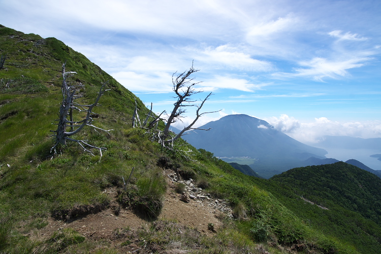 IMGP8877.jpg - １０時４０分稜線に出た。