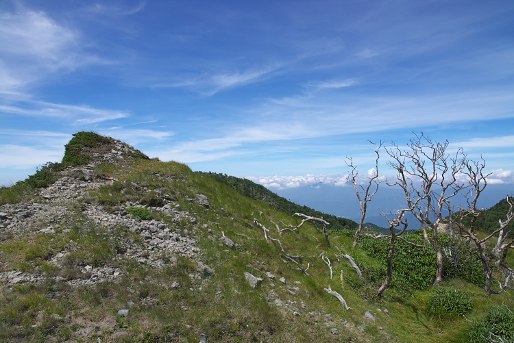 IMGP8896.jpg