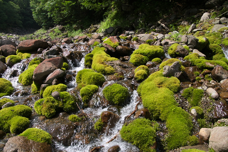 IMGP8914.jpg