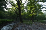 IMGP8793