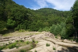 IMGP8818