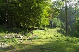 IMGP8821