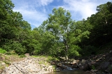 IMGP8835