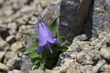 IMGP8873