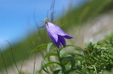 IMGP8876