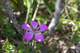 IMGP8881