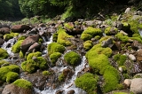 IMGP8914