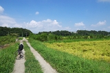IMGP8936
