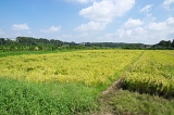 IMGP8937